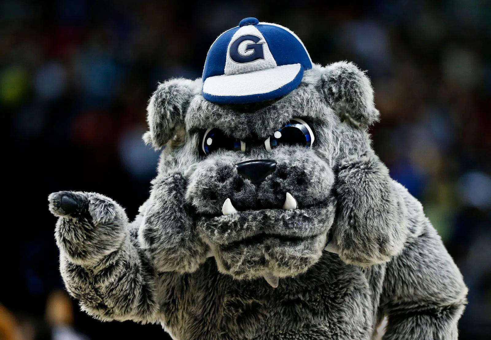 O mascote do Geogetown Hoyas foi inspirado pelo Sargento Stubby. Foto: Encyclopædia Britannica.
