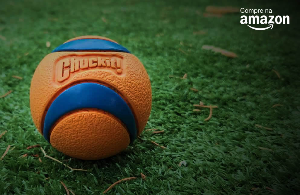 Bola Chuckit! Foto: Divulgação | Chuckit!