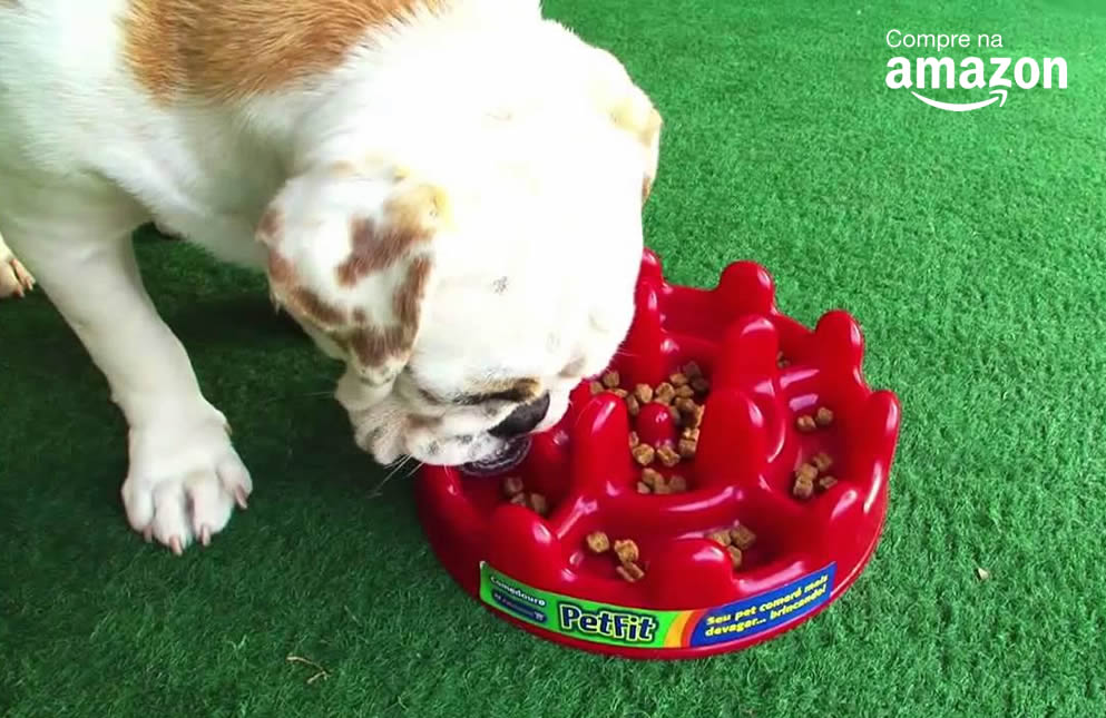 Comedouro Lento. Foto: Divulgação | Pet Fit.