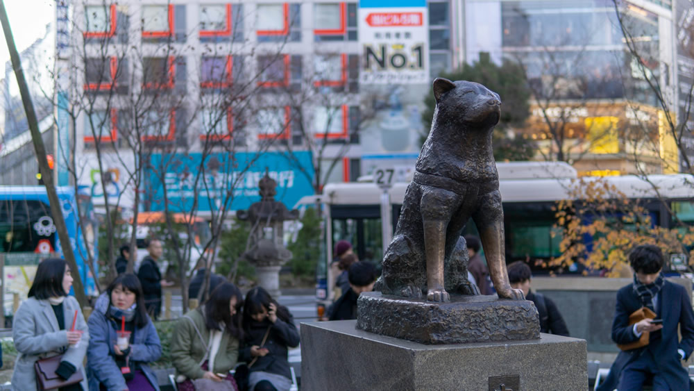 Estátua na Estação Shibuya. Foto de Darel Low na Unsplash.