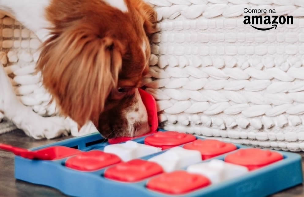 Cachorro com Dog Brick. Foto: Divulgação | Nina Ottosson.