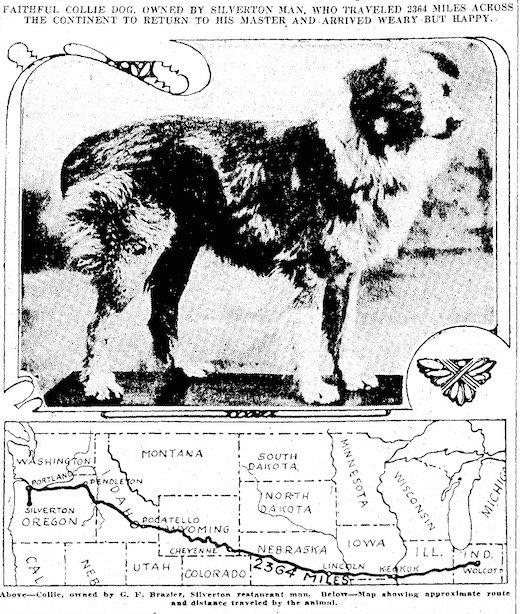 Jornal ilustra o trajeto do cãozinho. Foto: Sunday Oregonian 