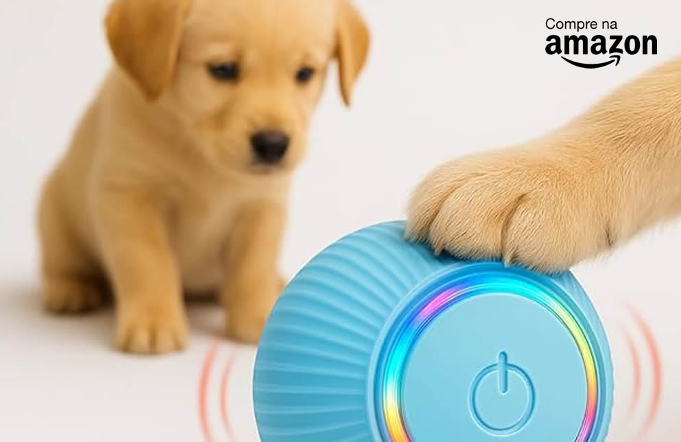 Brinquedos interativos na Amazon Brasil.