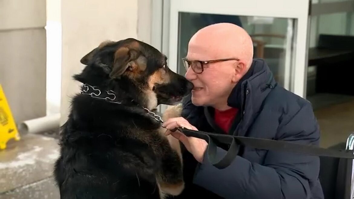 Cachorrinha Sadie e tutor Brian. Foto: Eyewitness News | ABC.