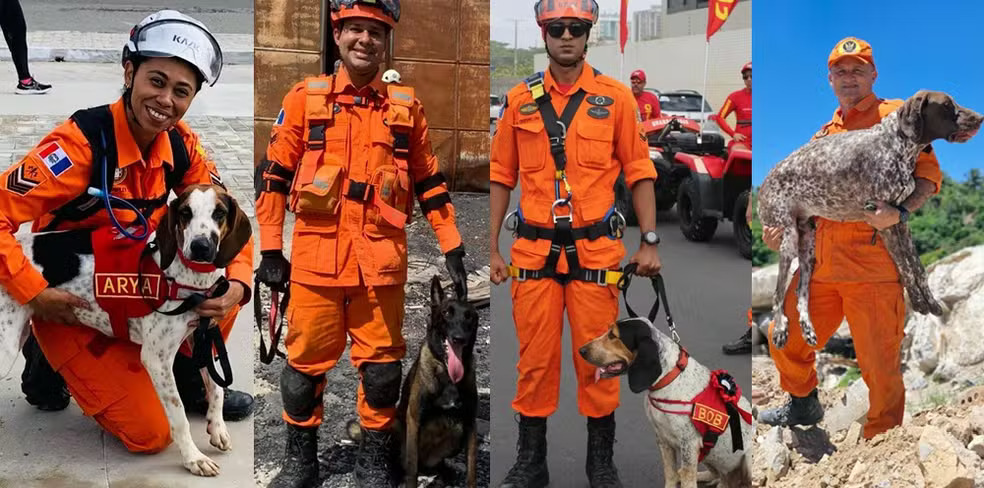 Cães e tutores do Corpo de Bombeiros de Alagoas - Foto: CBM-AL